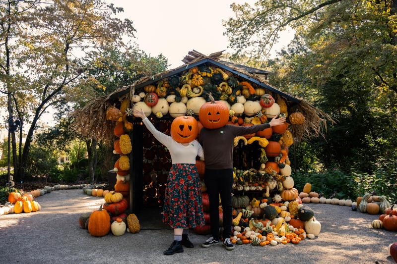 The Dixon Pumpkin House is Back for the Perfect Photo Op I Love